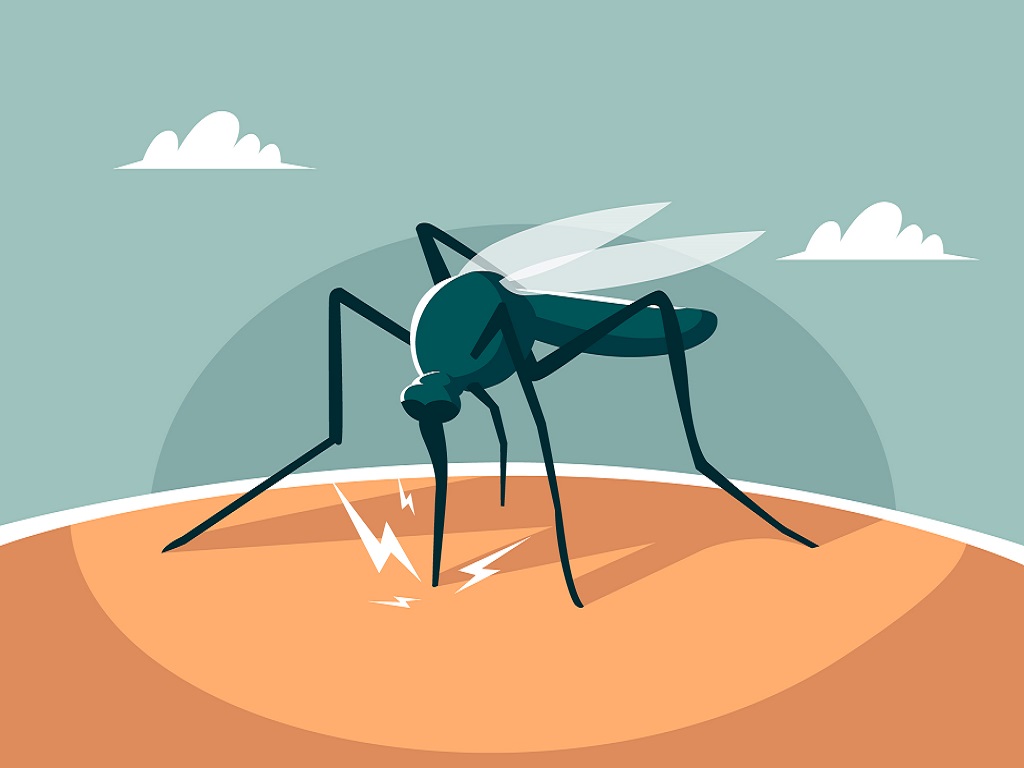 Effective Tips for Malaria Prevention