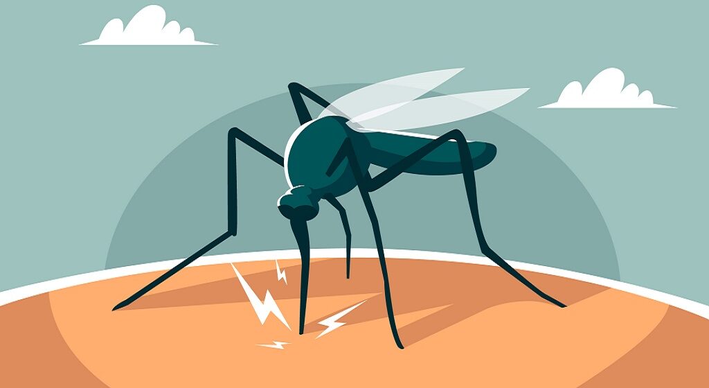 Effective Tips for Malaria Prevention
